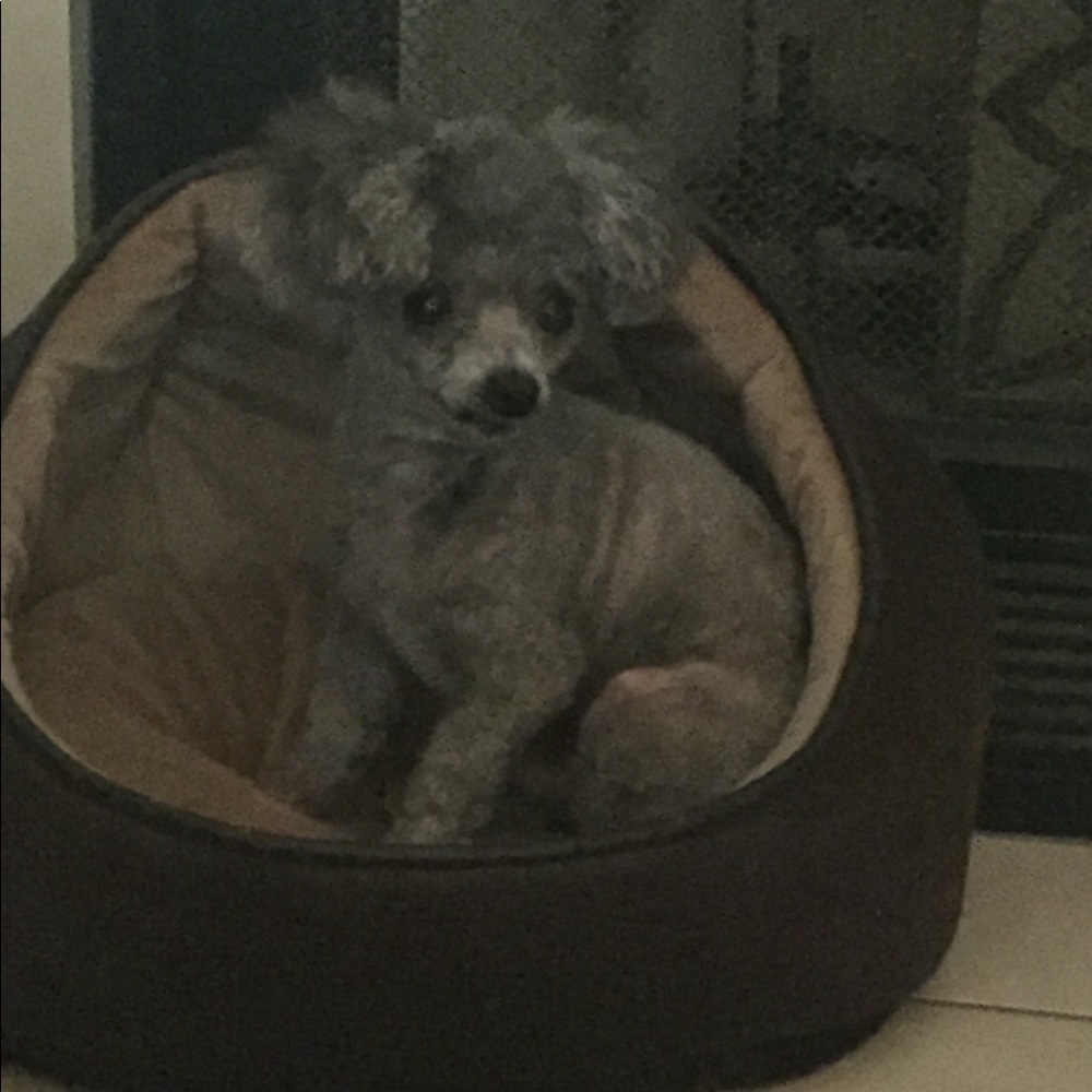 Meet your Posher, Anita